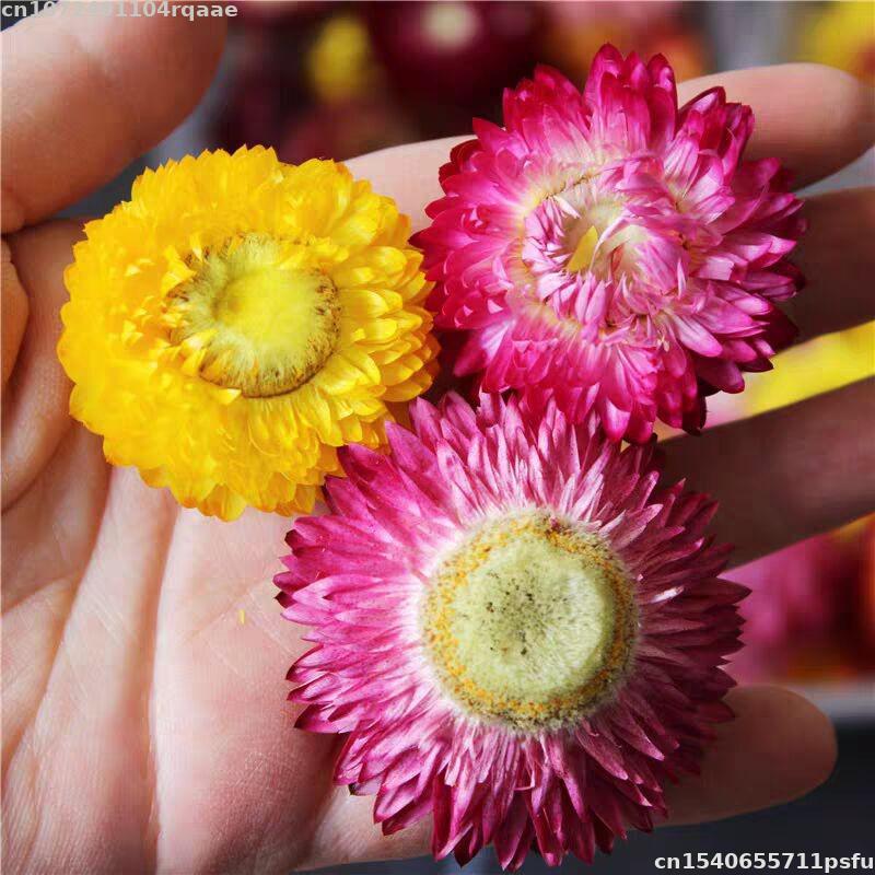 100% Natural Dried Flowers Bra - Soap Making Material Wholesale recensione e prezzo