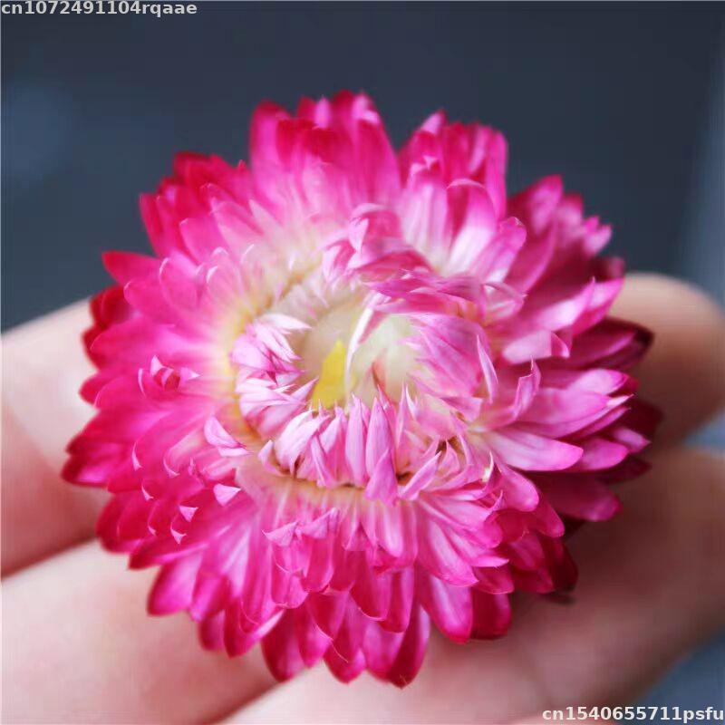 100% Natural Dried Flowers Bra - Soap Making Material Wholesale recensione e prezzo