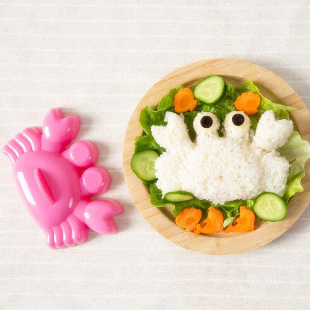 5 pcs Animal Rice Ball Mold Se - Soap Making Kit For Kids recensione e prezzo