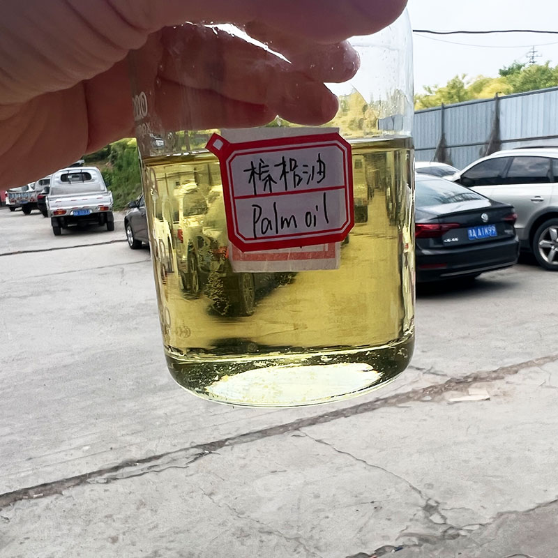 Oil Plant Refinery Edible Pean - Coconut Oil Refined recensione e prezzo